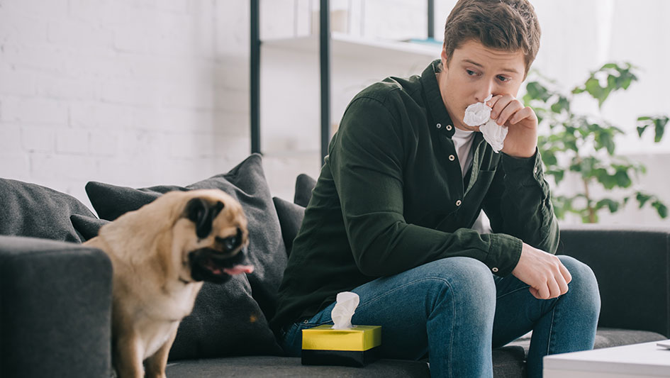 Purchasing an air purifier is one of the smartest ways to boost your house’s indoor air quality. Discover more about the three best solutions. 